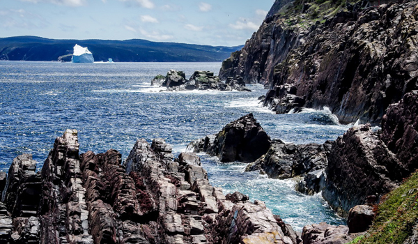 View from the East Coast Trail