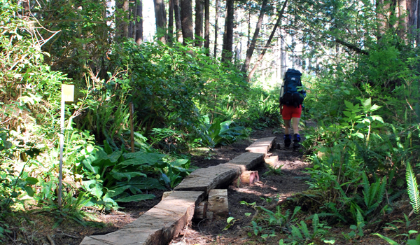 Hiking the West Coast Trail