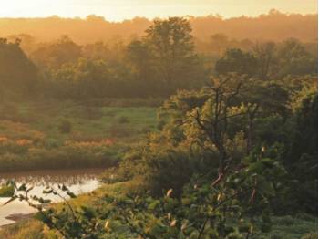 Kariba REDD+ forest protection in Zimbabwe |  <i>South Pole</i>