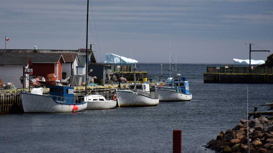 Watching icebergs passing at Petty Harbour |  Nathalie Gauthier