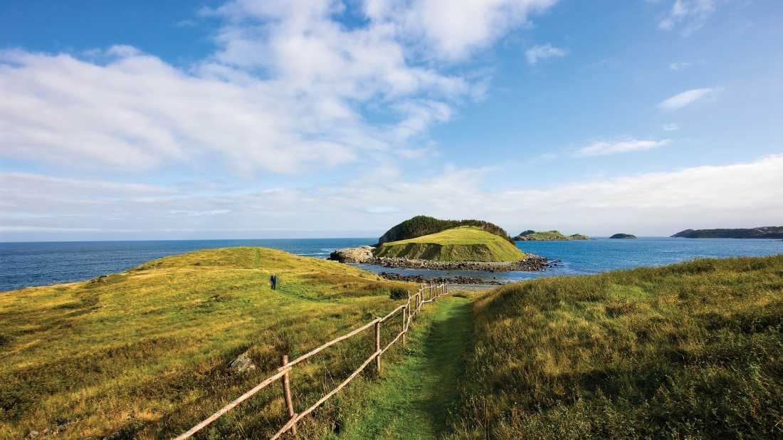 Island views from the East Coast Trail at Tors Cove |  Barrett & MacKay Photo