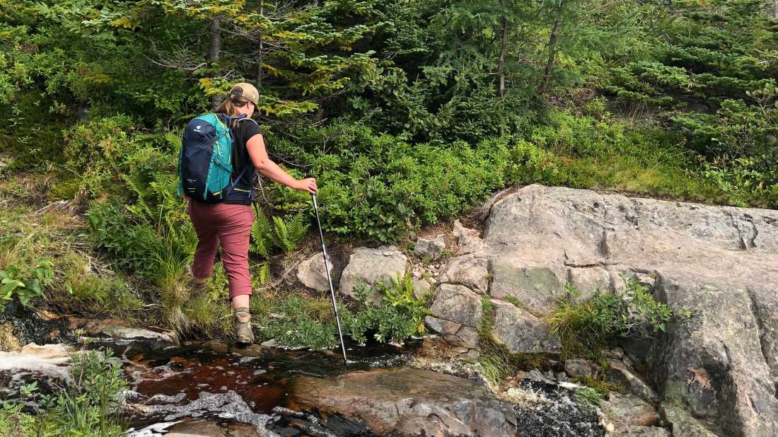 Hiking poles really help on slippery terrain along the trail |  Julie Demers