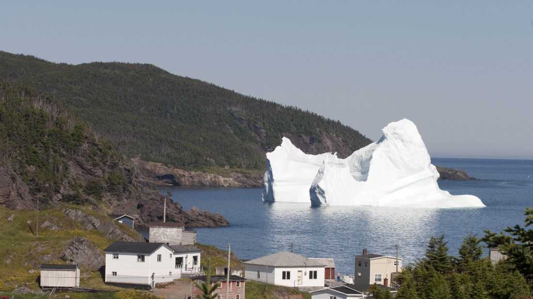 A giant iceberg visits a tiny coastal community |  Newfoundland and Labrador Tourism