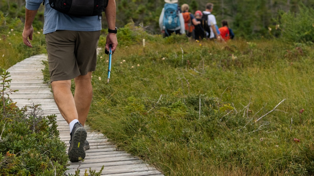 If you like hiking, you'll love Newfoundland | Jenny Wong