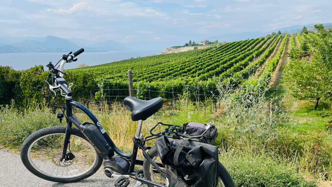 Biking on the Kettle Valley Rail Trail through orchards and vineyards |  Robin Esrock