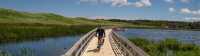 Cross over a marsh on a floating bridge among sand dunes |  Sherry Ott