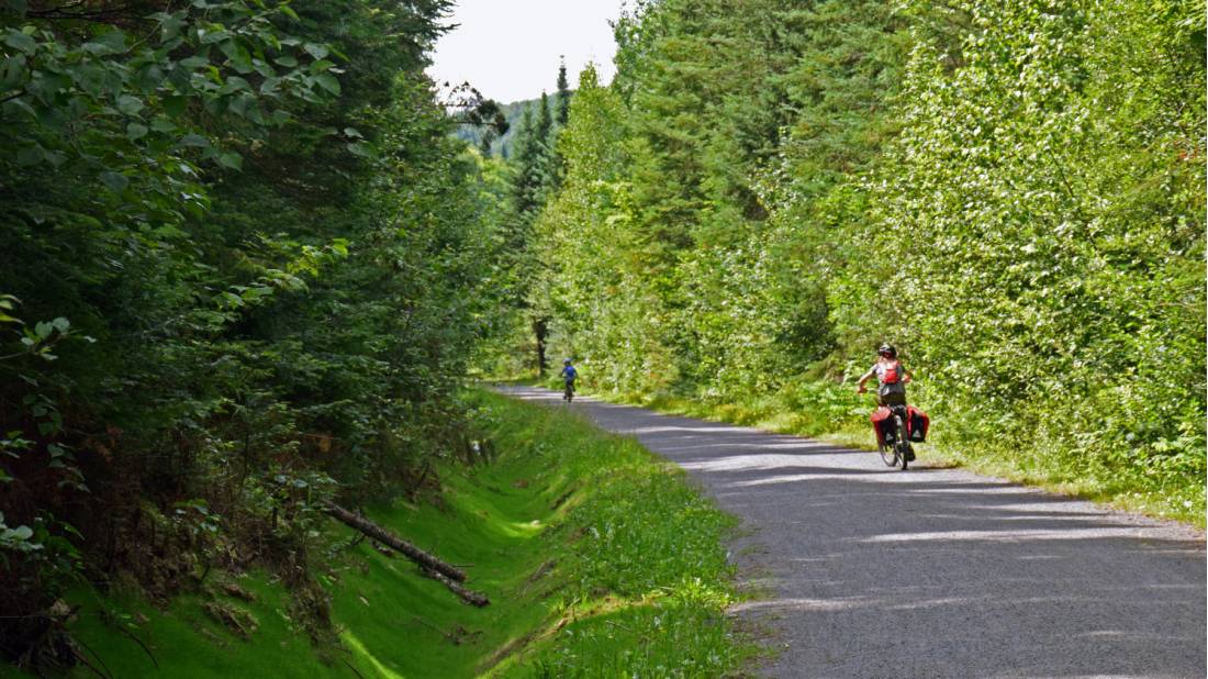 Enjoy the beautiful forests as you cycle on the P'tit Train du Nord | <i>Nathalie Gauthier</i>