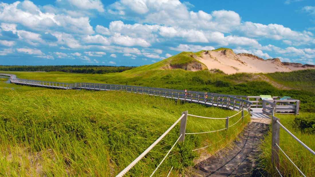 Greenwich Sand Dunes in Prince Edward Island National Park |  Tourism PEI/Heather Ogg