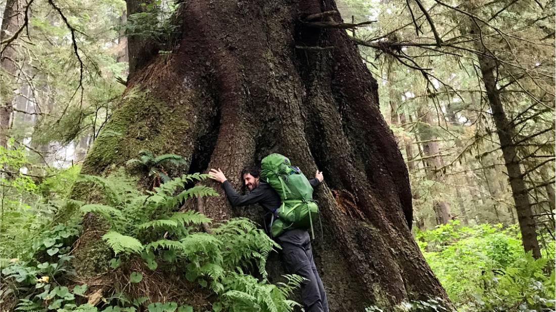 Lots of love for the giant cedar trees in Pacific Rim NP | <i>Patrick Troughton</i>