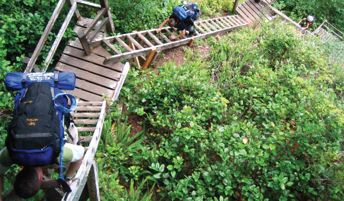 Climbing ladders on the West Coast Trail |  <i>The Great Canadian Bucket List</i>